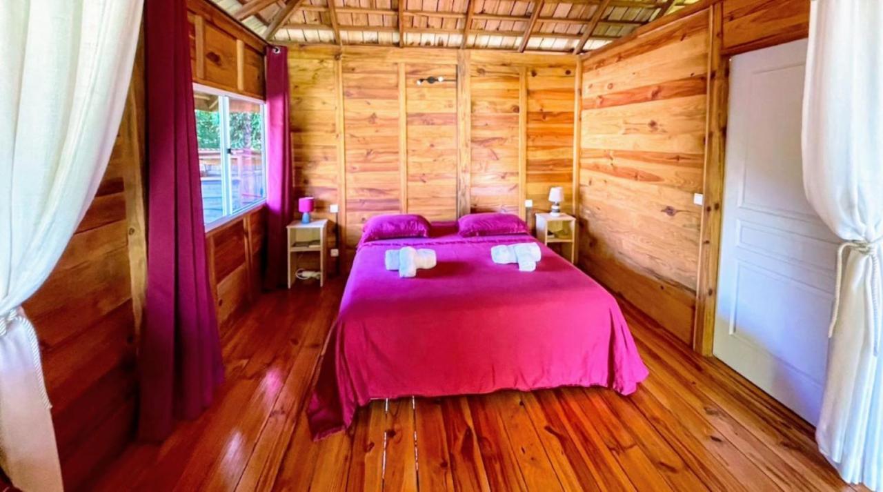 Raiatea - Orion Pool Bungalow Uturoa Zewnętrze zdjęcie